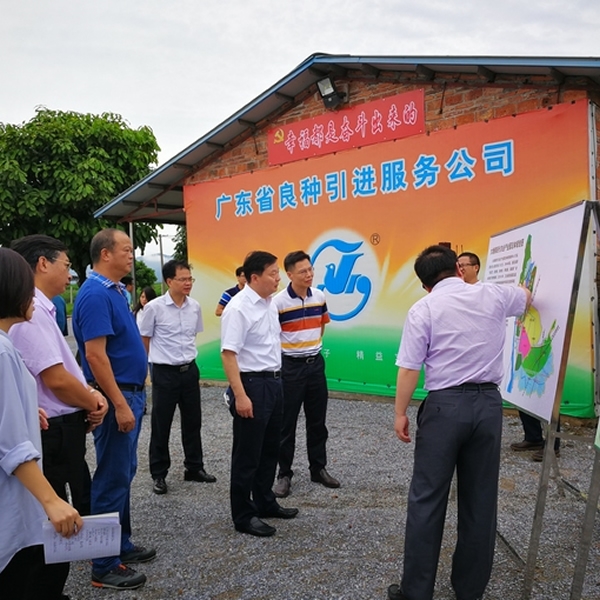 广良佛山三水基地