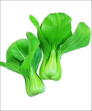 依伶青梗菜