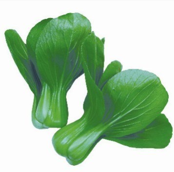 夏赏味2号青梗菜