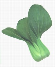 早生华京青梗菜