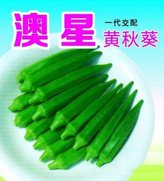 澳星黄秋葵