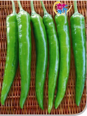 雄鹰辣椒