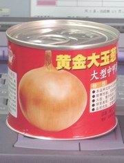 日本新时代-黄金大玉葱