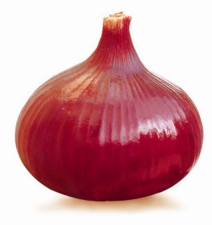 大阪3号洋葱