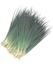 若叶（黑系）小葱