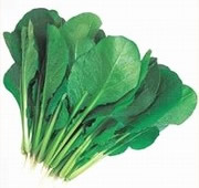  青叶小松菜