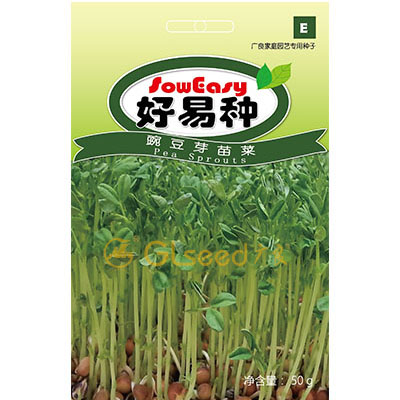 豌豆芽苗菜