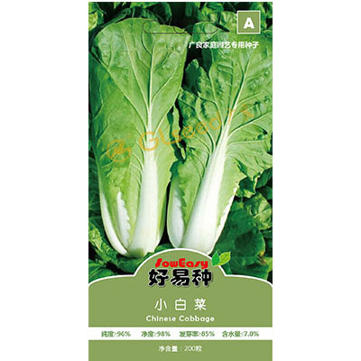 小白菜