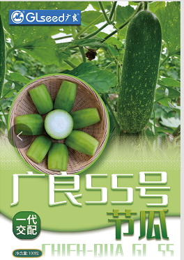 广良55号节瓜
