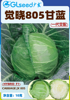 觉晓805甘蓝