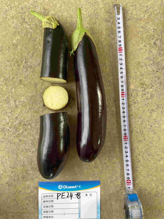 PE24-18茄子（预告）