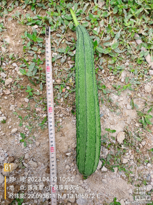 ZH1041LH（预告）